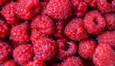 The Power of Raspberry Leaf Stem Cell Extract for Deep Skin Hydration